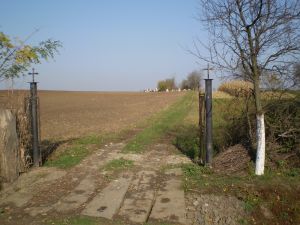  A temetőkertbe vezető hosszú gyalogút előtti kapu 